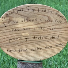 3e052b9df5e6bd0d9005fb5d8c99f6d4?v=5