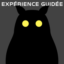 Expérience exclusive aux membres | Vivre la nuit