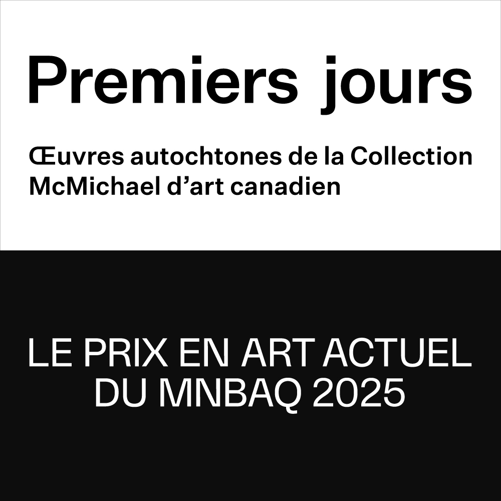 Billet Expositions vedettes et collections du MNBAQ